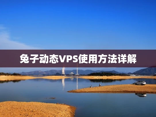 兔子动态VPS使用方法详解