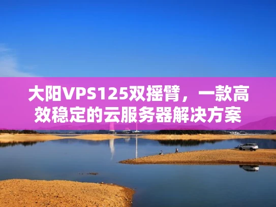 大阳VPS125双摇臂，一款高效稳定的云服务器解决方案