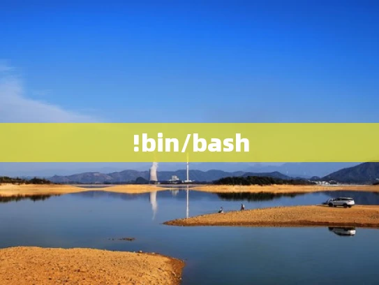 !bin/bash