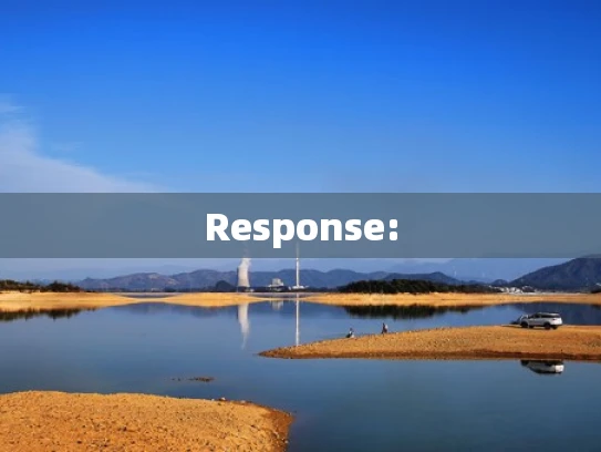 Response: