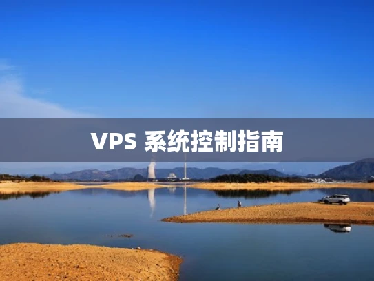 VPS 系统控制指南
