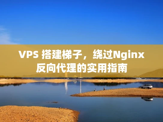 VPS 搭建梯子，绕过Nginx反向代理的实用指南