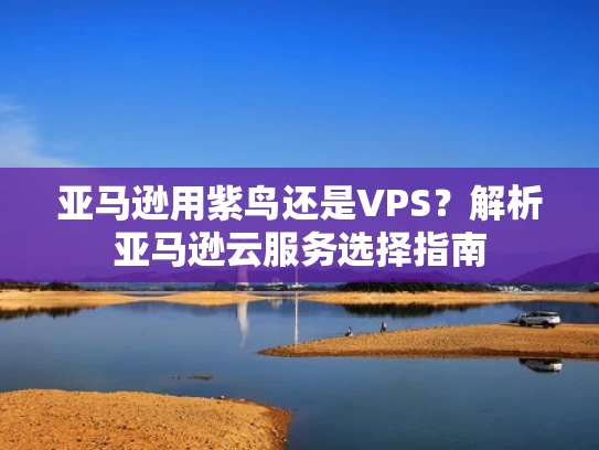 亚马逊用紫鸟还是VPS？解析亚马逊云服务选择指南