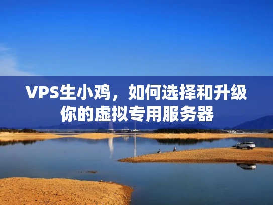 VPS生小鸡，如何选择和升级你的虚拟专用服务器