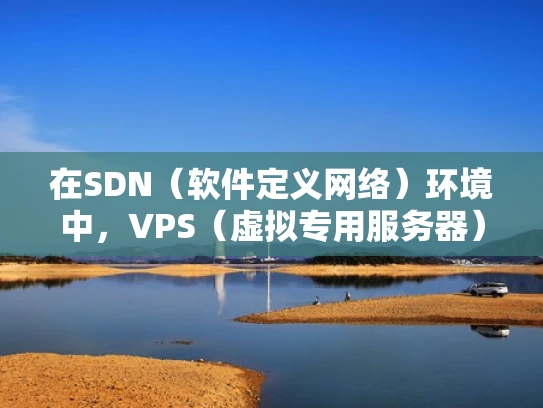 在SDN（软件定义网络）环境中，VPS（虚拟专用服务器）的参数设置是确保其高效运行的关键因素。以下将详细探讨这些参数及其在SDN中的应用