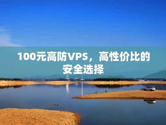 100元高防VPS，高性价比的安全选择