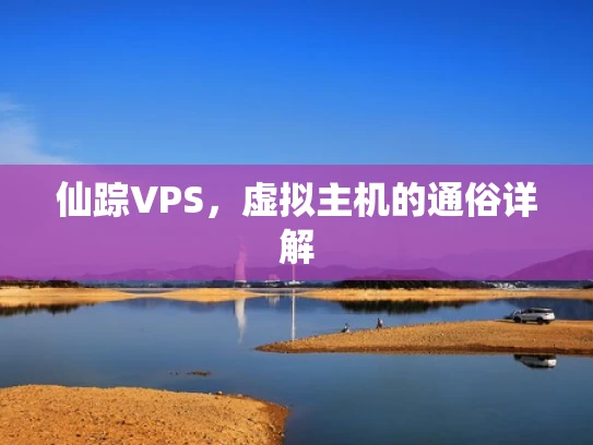 仙踪VPS，虚拟主机的通俗详解