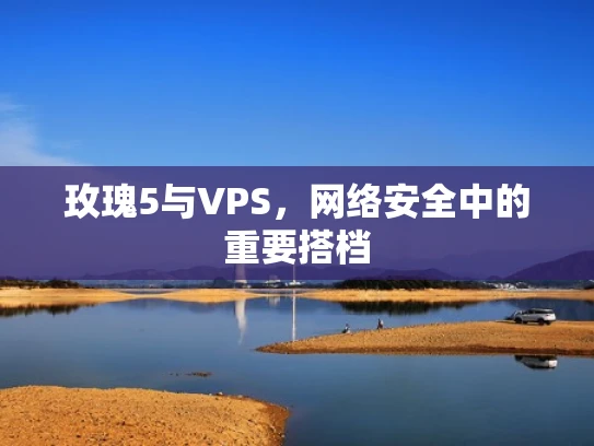 玫瑰5与VPS，网络安全中的重要搭档