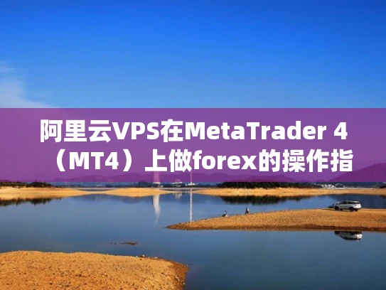 阿里云VPS在MetaTrader 4（MT4）上做forex的操作指南