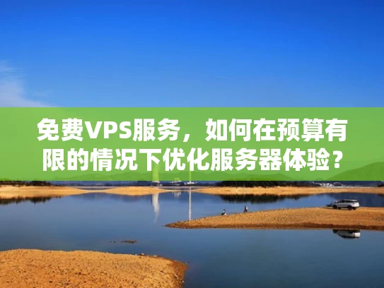 免费VPS服务，如何在预算有限的情况下优化服务器体验？