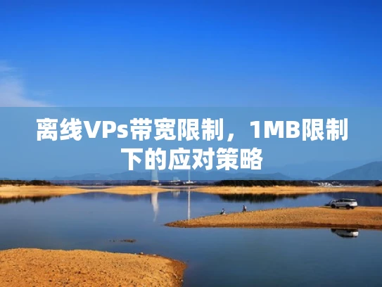 离线VPs带宽限制，1MB限制下的应对策略