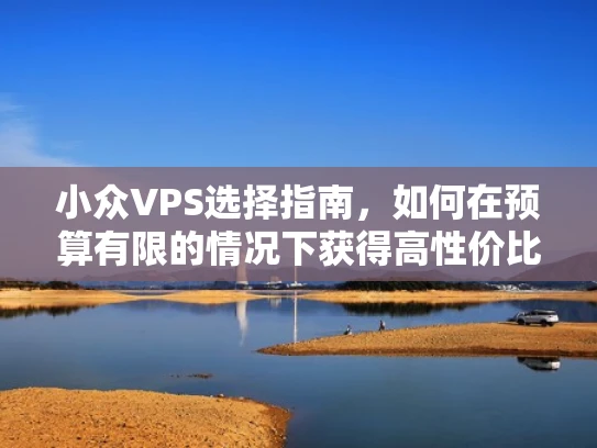 小众VPS选择指南，如何在预算有限的情况下获得高性价比的虚拟服务器
