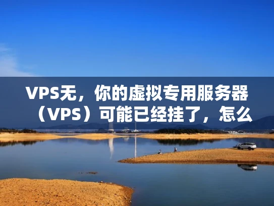 VPS无，你的虚拟专用服务器（VPS）可能已经挂了，怎么办？
