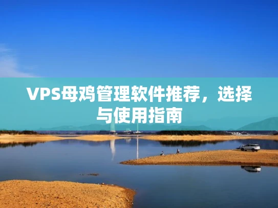 VPS母鸡管理软件推荐，选择与使用指南