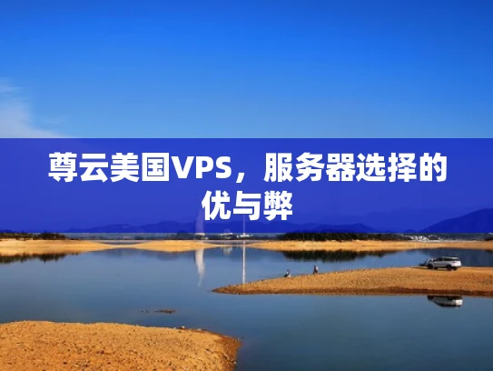 尊云美国VPS，服务器选择的优与弊