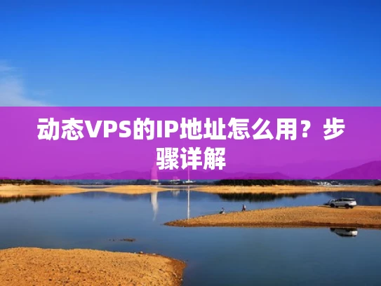 动态VPS的IP地址怎么用？步骤详解