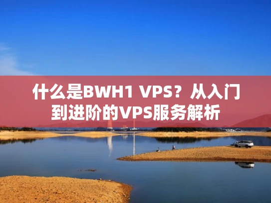什么是BWH1 VPS？从入门到进阶的VPS服务解析