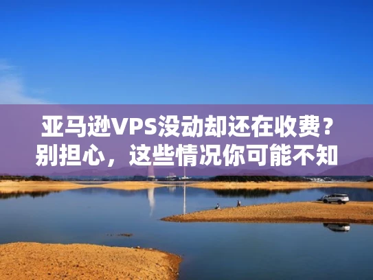 亚马逊VPS没动却还在收费？别担心，这些情况你可能不知道