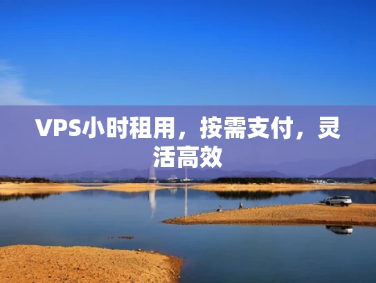 VPS小时租用，按需支付，灵活高效