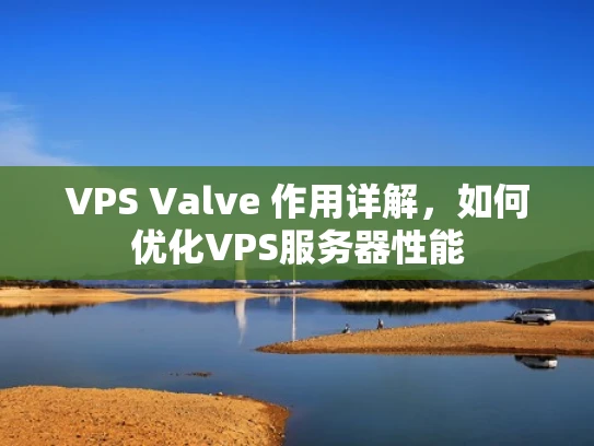 VPS Valve 作用详解，如何优化VPS服务器性能