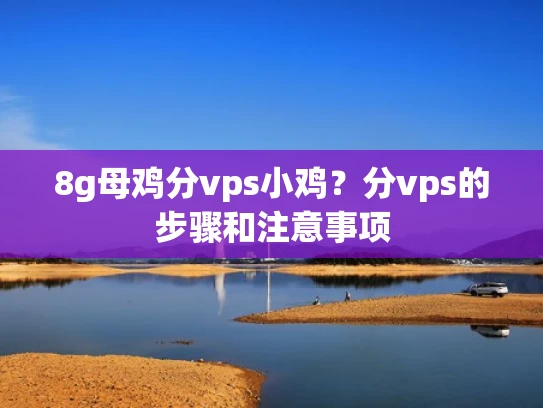 8g母鸡分vps小鸡？分vps的步骤和注意事项