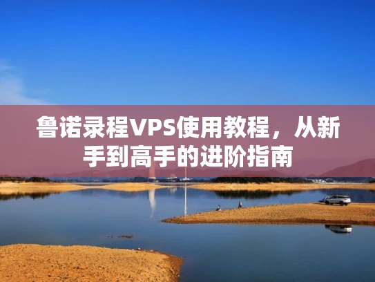鲁诺录程VPS使用教程，从新手到高手的进阶指南
