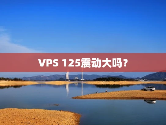 VPS 125震动大吗？