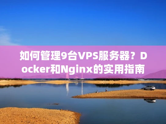 如何管理9台VPS服务器？Docker和Nginx的实用指南
