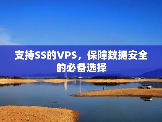支持SS的VPS，保障数据安全的必备选择