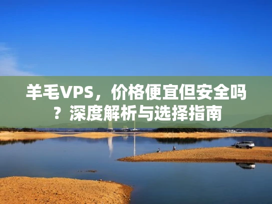 羊毛VPS，价格便宜但安全吗？深度解析与选择指南