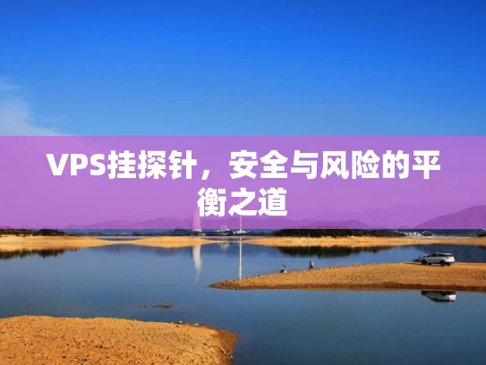 VPS挂探针，安全与风险的平衡之道