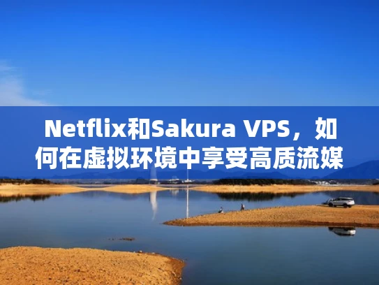 Netflix和Sakura VPS，如何在虚拟环境中享受高质流媒体服务？