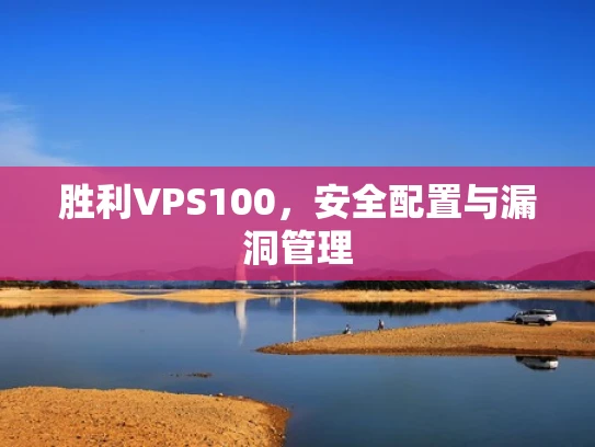 胜利VPS100，安全配置与漏洞管理