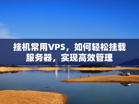 挂机常用VPS，如何轻松挂载服务器，实现高效管理