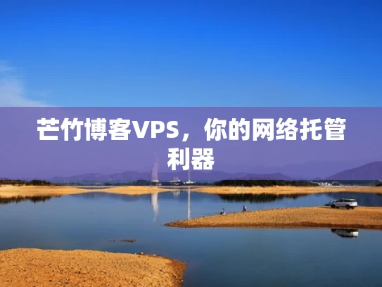 芒竹博客VPS，你的网络托管利器