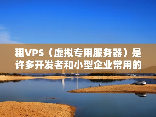 租VPS（虚拟专用服务器）是许多开发者和小型企业常用的技术手段，用于在云端托管服务器资源，以提供更灵活、可扩展的计算能力。如果你对VPS租赁服务感兴趣，那么首先需要明确几个关键点