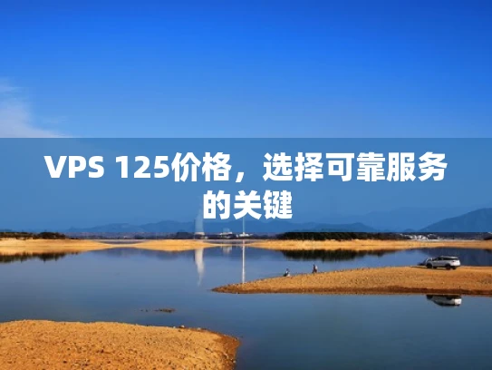VPS 125价格，选择可靠服务的关键