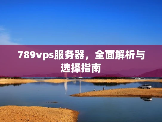 789vps服务器，全面解析与选择指南