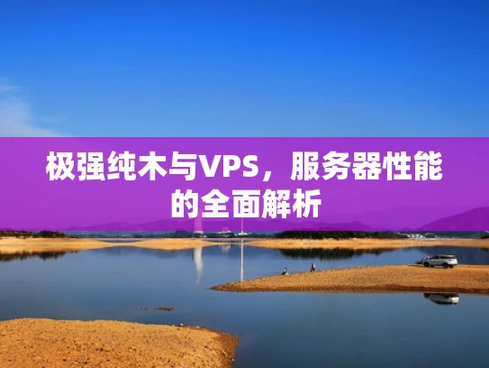 极强纯木与VPS，服务器性能的全面解析