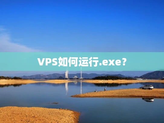 VPS如何运行.exe？