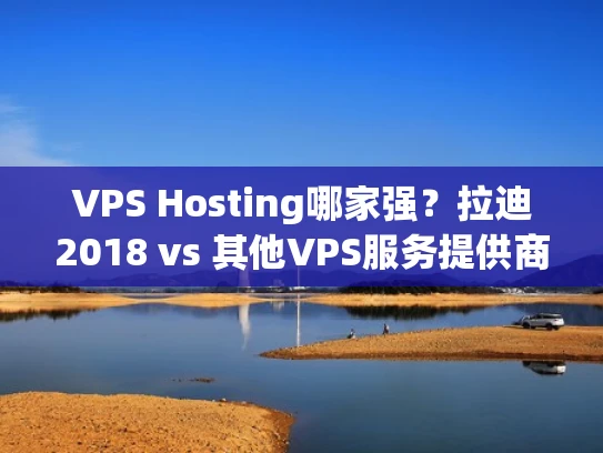 VPS Hosting哪家强？拉迪2018 vs 其他VPS服务提供商对比分析