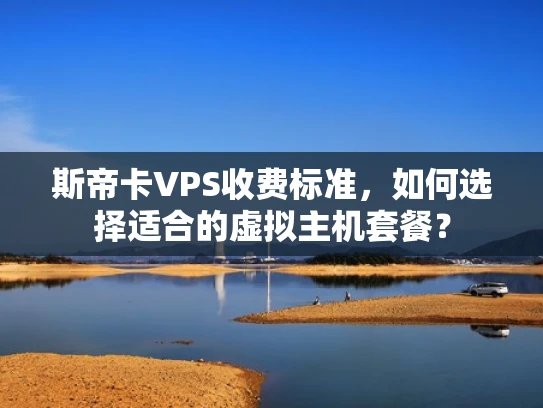 斯帝卡VPS收费标准，如何选择适合的虚拟主机套餐？