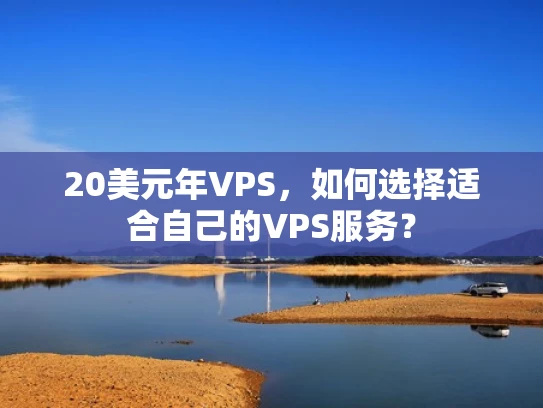 20美元年VPS，如何选择适合自己的VPS服务？