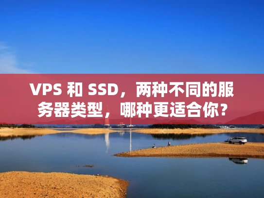 VPS 和 SSD，两种不同的服务器类型，哪种更适合你？