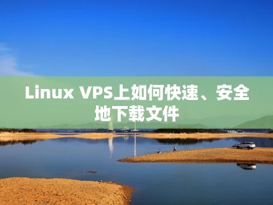 Linux VPS上如何快速、安全地下载文件