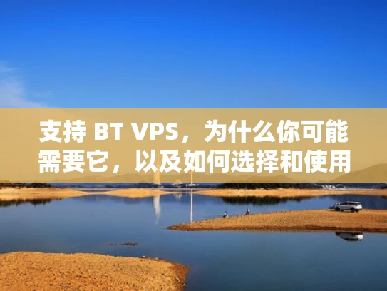 支持 BT VPS，为什么你可能需要它，以及如何选择和使用