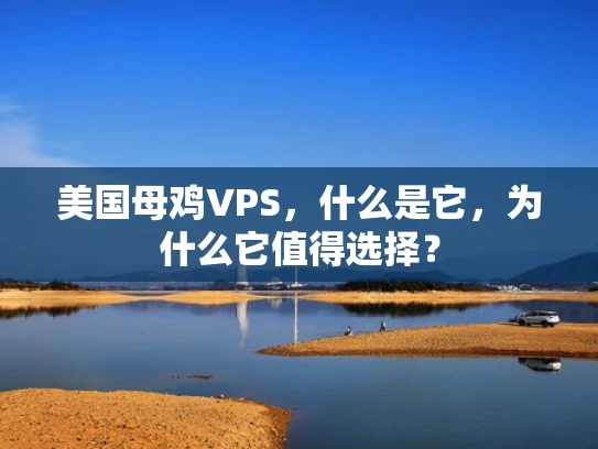 美国母鸡VPS，什么是它，为什么它值得选择？
