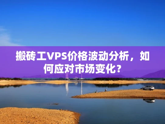 搬砖工VPS价格波动分析，如何应对市场变化？
