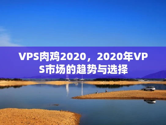 VPS肉鸡2020，2020年VPS市场的趋势与选择